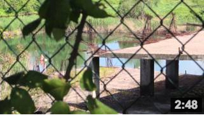 EX-SNIA, L'OASI TRA SCHELETRI DI CEMENTO